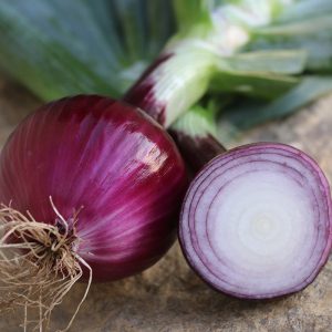 Red Onion