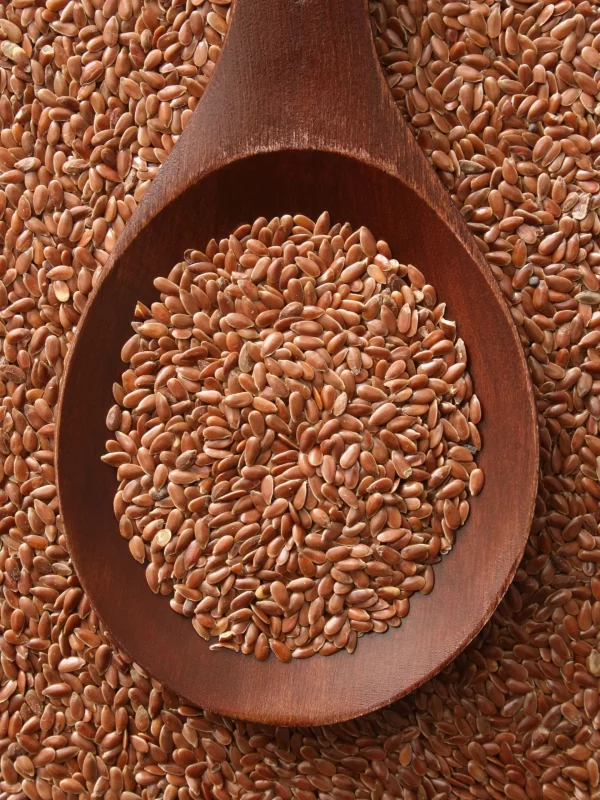 Flax Seeds