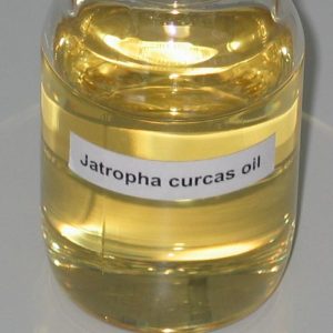 Crude Jatropha Oil