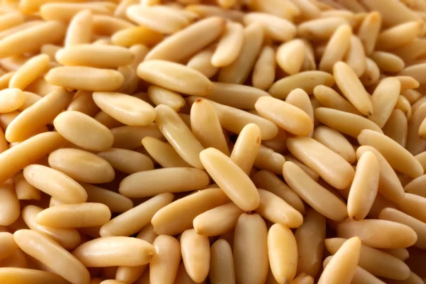 Pine Nut