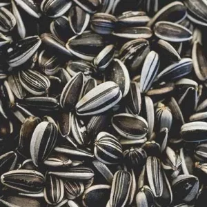 Sunflower Seeds