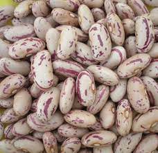 Speckled Kidney Beans