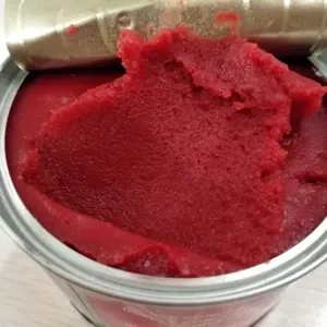 Canned Tomato Paste