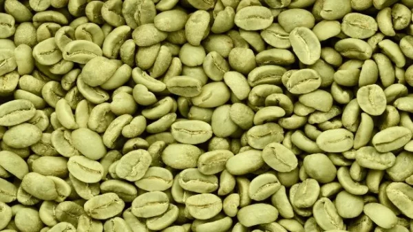 Arabica Coffee Beans