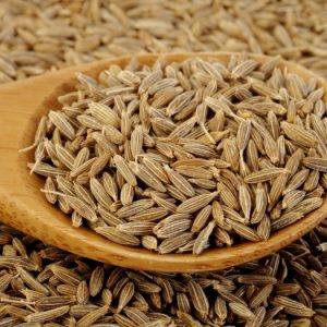 Cumin Seeds