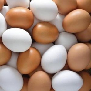 Fresh Table Eggs