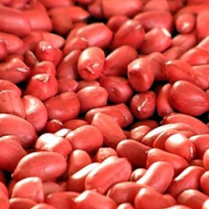 Red Skin Peanut Kernel