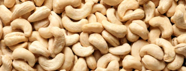 Cashew Nuts