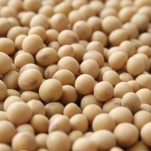 Soybeans